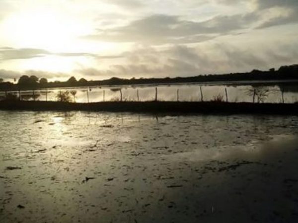 Barragem no Sítio Manhoso, Zona Rural de Caicó - (Foto: Divulgação)