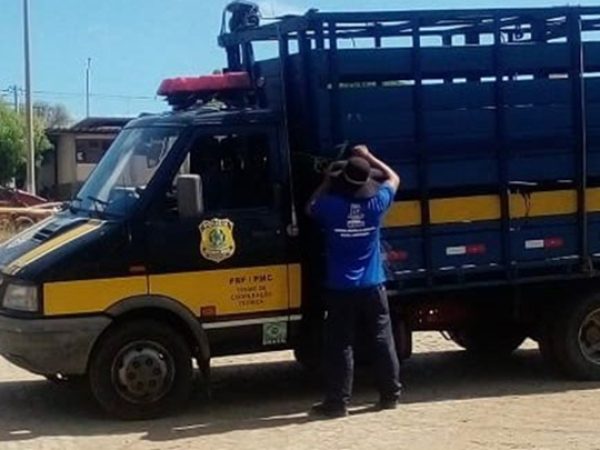 Caminhão boiadeiro foi cedido através de autorização da Superintendência do órgão em Brasília. — Foto: Divulgação