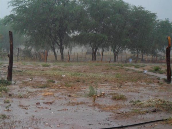 EMPARN prevê boas chuvas para o ano de 2020 no Semiárido potiguar (arquivo). — Foto: © Reprodução/Internet