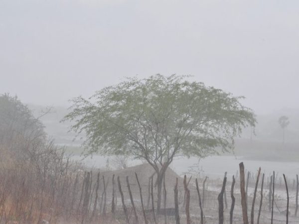 Essas chuvas contribuem diretamente para melhor as condições hidrológicas do Rio Piranhas. — Foto: © Reprodução/Internet