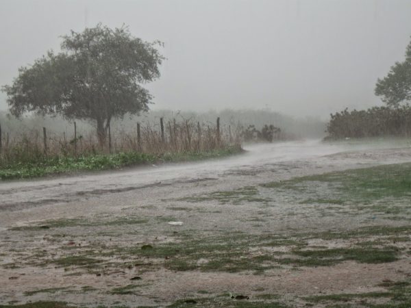 As chuvas fazem com que os agricultores se animem e acreditem que este ano será farto para a agricultura (Foto: Veemente ilustrativa)