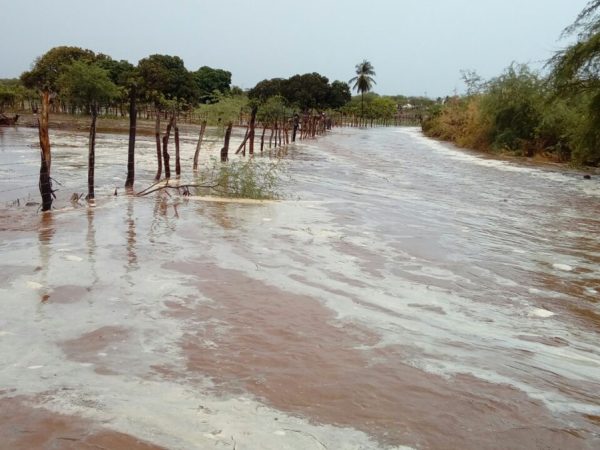 Também foram registradas outras boas precipitações em municípios do Seridó — Foto: Reprodução / Arquivo / Ilustração