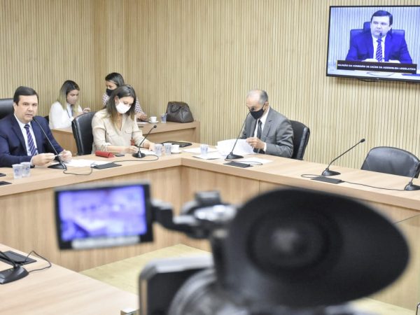 Comissão de Saúde da Assembleia Legislativa durante reunião extraordinária. — Foto: João Gilberto