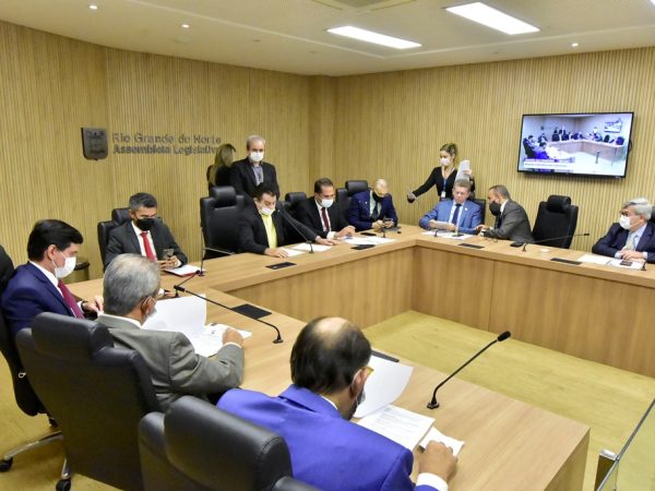 Cinco Comissões Permanentes da Assembleia Legislativa analisaram e votaram 17 matérias. — Foto: Eduardo Maia