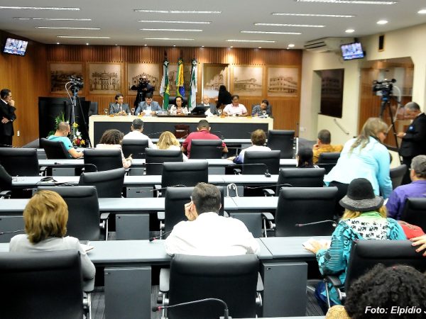 Debate foi proposto pela Comissão dos Direitos da Pessoa com Deficiência e Mobilidade Reduzida — Foto: Elpídio Júnior