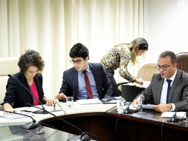 Reunião da Comissão de Defesa dos Direitos Humanos e Cidadania da Assembleia Legislativa — Foto: João Gilberto