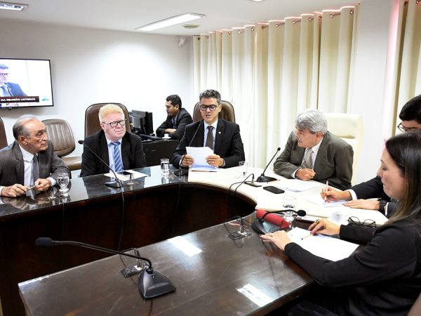 Na reunião da Comissão de Finanças e Fiscalização (CFF), realizada nesta quarta-feira (27) — Foto: Eduardo Maia
