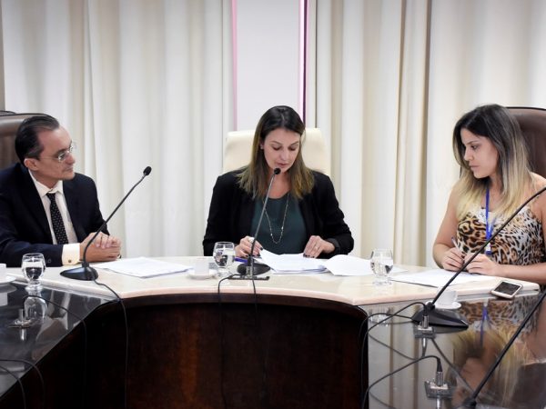 Comissão de Defesa do Consumidor, Meio Ambiente e Interior (Foto: João Gilberto)