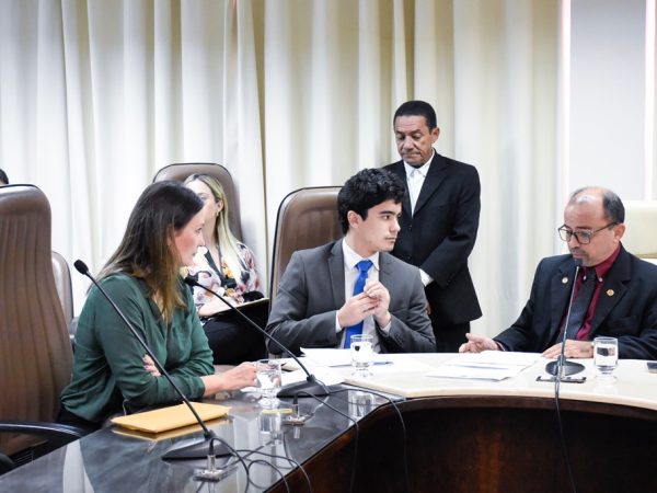 Reunião da Comissão de Defesa do Consumidor, Meio Ambiente e Interior — Foto: João Gilberto
