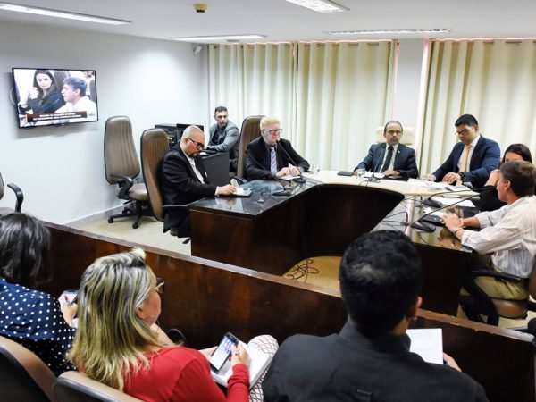 Reunião da Comissão de Defesa do Consumidor, Meio Ambiente e Interior na Assembleia Legislativa — Foto: João Gilberto
