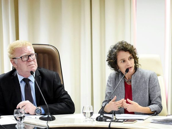 Reunião realizada na Comissão de Defesa dos Direitos Humanos e Cidadania (CDDH) — Foto: João Gilberto