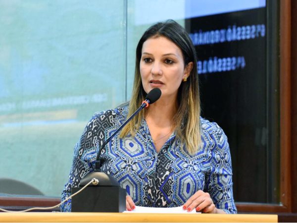 Deputada estadual Cristiane Dantas (Foto: João Gilberto)