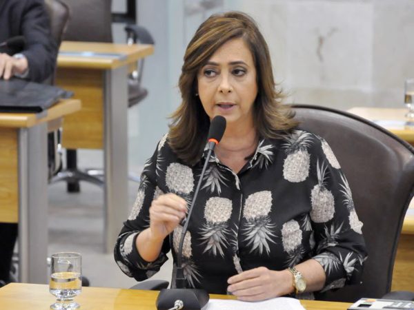 Deputada estadual Márcia Maia (PSDB) (Foto:  Eduardo Maia)