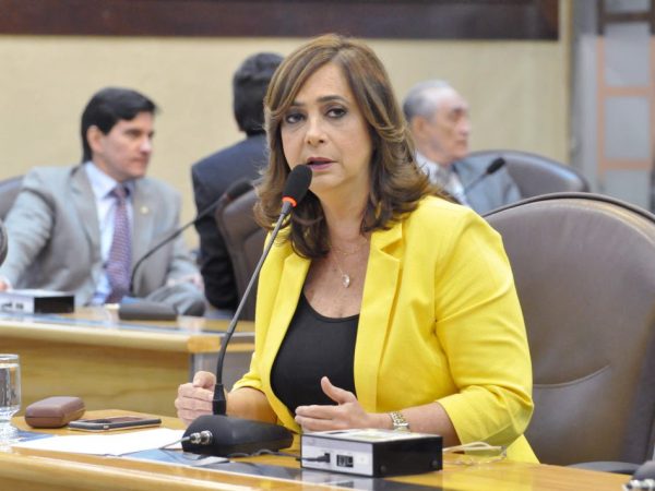 Deputada estadual Márcia Maia (PSDB) (Foto: Eduardo Maia)