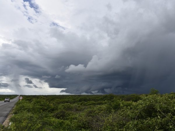 O volume de chuvas registrado em 2022, já está 8,6% acima da média esperada. — Foto: Elisa Elsie