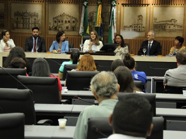 Vereadora Júlia Arruda coordena a Frente Parlamentar de Defesa da Criança e do Adolescente — Foto: Marcelo Barroso