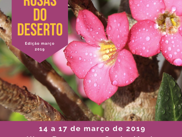 Evento acontece no Hiper Bompreço – Capim Macio até domingo (17) com venda, exposição e oficina de cultivo - Foto: Divulgação