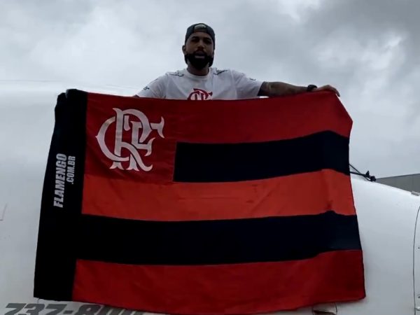 Flamengo embarcou em Lima e viajou mais de seis horas até pousar no Aeroporto do Galeão, no Rio de Janeiro. — Foto: Reprodução/Twitter