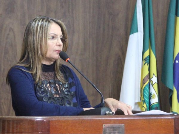 A relatoria ficou para o vereador Zé Filho (Foto: Divulgação)