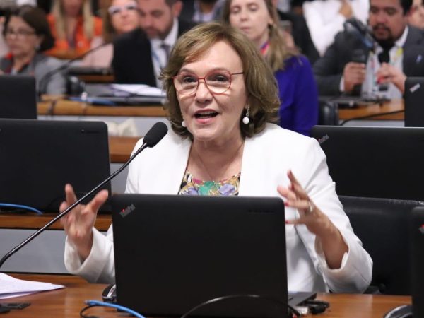 Para a senadora Zenaide, a proposta representa o desmonte dos serviços públicos — Foto: Divulgação