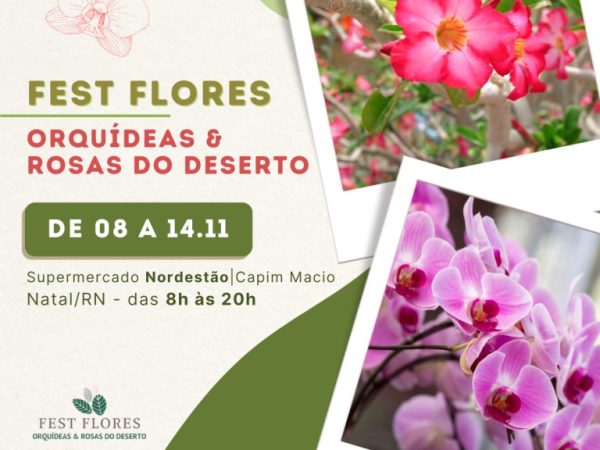 Com Rosas do Deserto e Orquídeas, a feira tem entrada gratuita. — Foto: Divulgação