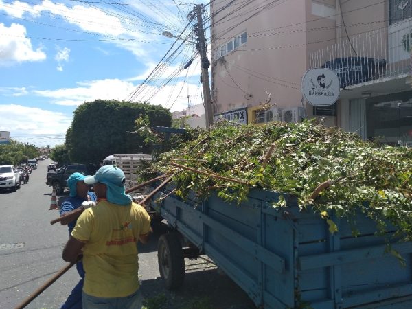 Atual administração herdou da gestão passada uma grande quantidade de restos de poda espalhados em vários locais  - Foto: Divulgação