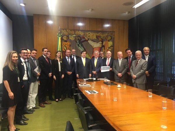 Presidente da Comissão, João Maia, comemora o empenho e interesse do presidente Rodrigo Maia e do Governo — Foto: Assessoria.