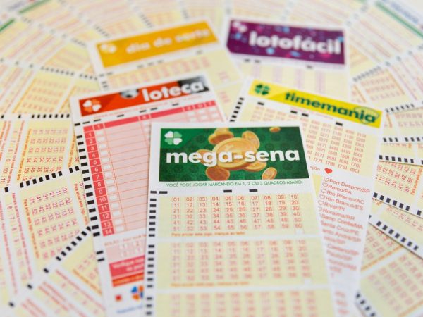 Bilhete volante loteria megasena mega sena loteca lotofácil loto fácil timemania time mania versão 2018 — Foto: Marcelo Brandt/G1