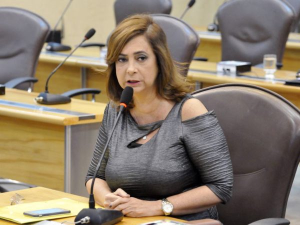 Deputada estadual Márcia Maia (Foto: Eduardo Maia)