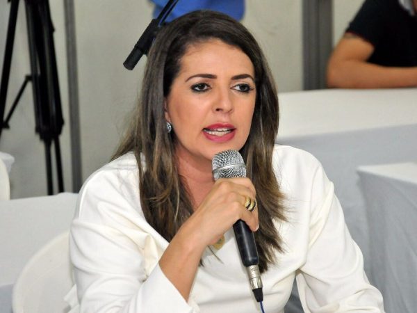 O projeto foi apresentado pela vereadora Nina Souza (PEN) - Foto: Elpídio Júnior