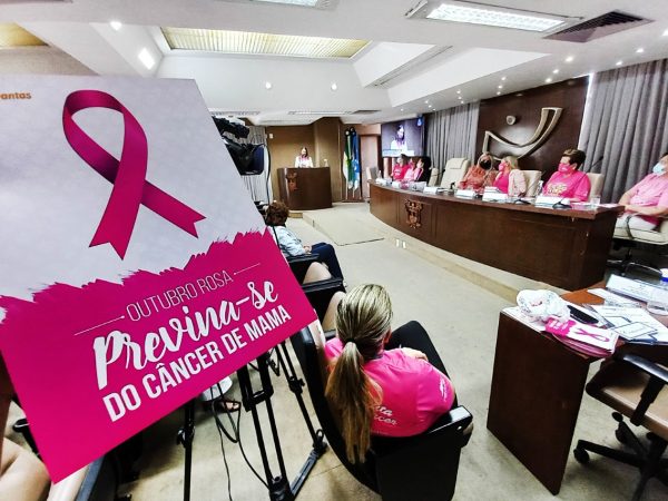 Cristiane Dantas destacou que o câncer de mama é um dos desafios no cenário atual de pandemia no Brasil. — Foto: Eduardo Maia