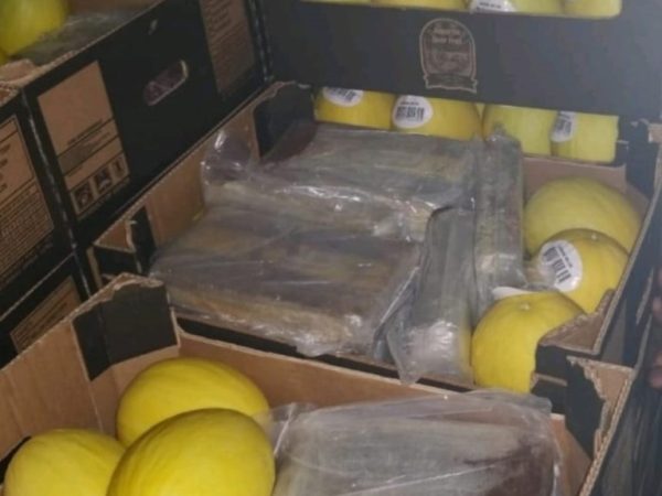 Parte da cocaína apreendida pela PF na Grande Natal estava em meio a uma carga de melão — Foto: Divulgação/PF