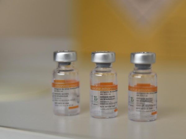 Estado recebeu 82.440 doses da Coronavac para distribuir entre seus 167 municípios. — Foto: Elisa Elsie