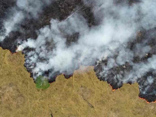 Os incêndios estariam sem propagados por fazendeiros e donos de terras para limpar o que foi derrubado antes — Foto: © Reuters