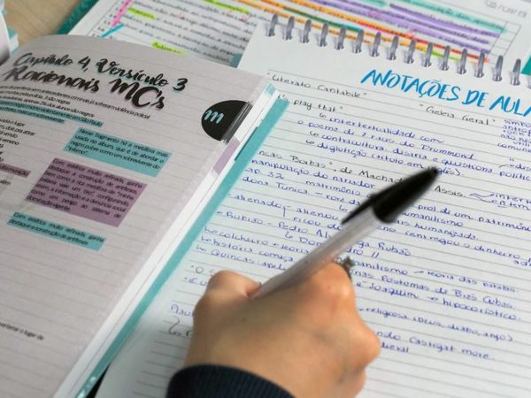 Material consiste em cadernos explicativos das competências utilizadas para a avaliação dos alunos — Foto: Divulgação