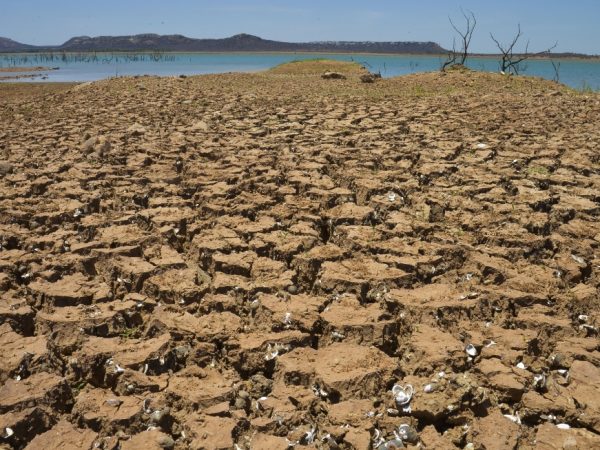 A região Nordeste já enfrenta seu sexto ano de seca - Reprodução