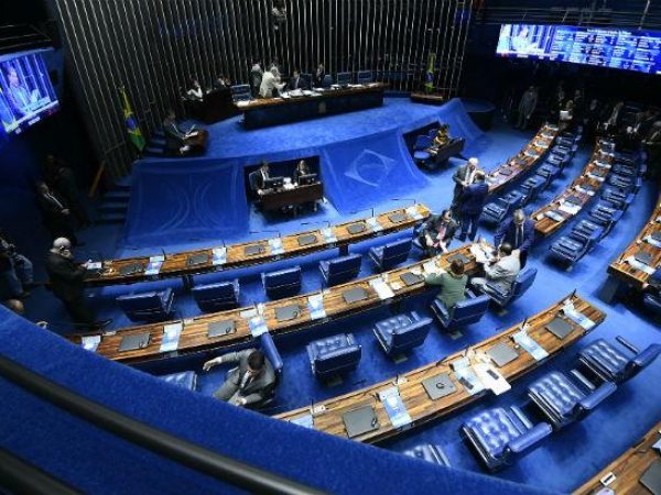 Sessão remota para votar o auxílio emergencial está prevista para as 16h. — Foto: Marcos Oliveira/Agência Senado
