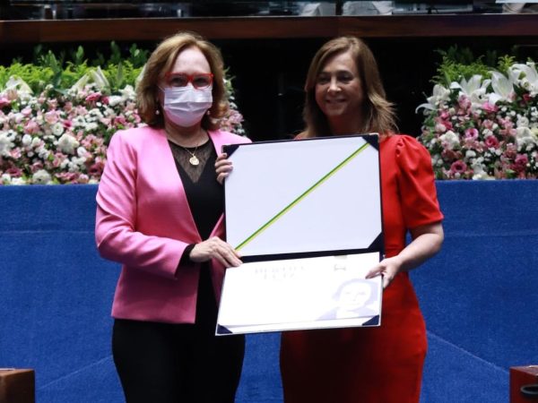 Homenagem póstuma foi recebida pela filha da ex-governadora, Márcia Maia no plenário do Senado. — Foto: Divulgação