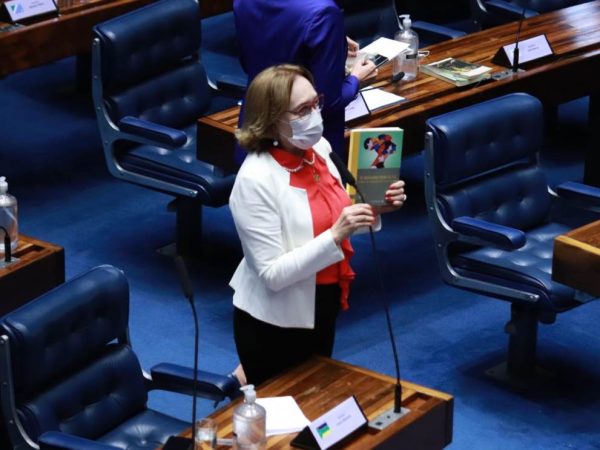 Senadora defende aumento da faixa de isenção para quem ganha pouco. — Foto: Divulgação