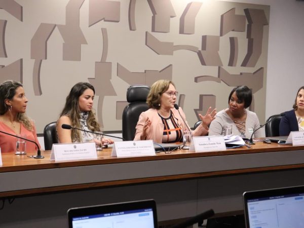 A ideia foi exposta pela senadora durante a abertura do debate sobre o aumento dos feminicídios no Brasil — Foto: Assessoria.