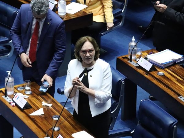 Zenaide havia indicado o projeto como uma das prioridades da bancada feminina do Senado. — Foto: Agência Senado
