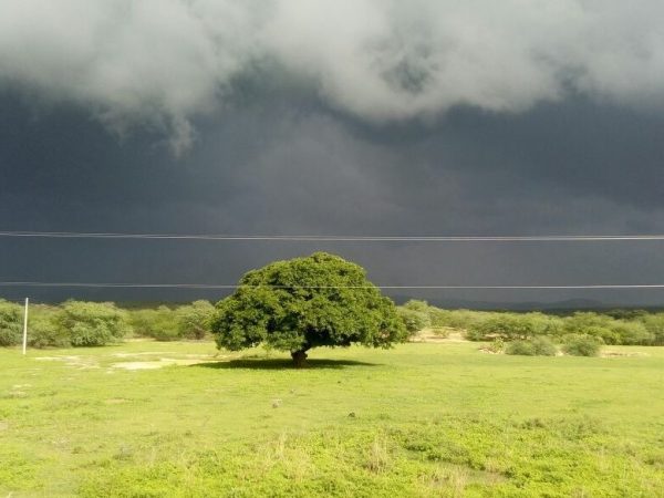 Cenário de chuva no Sítio Vaca Brava em Acari (Foto: Maria Daguia)