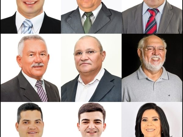 Depois da janela partidária, MDB e PSD ficaram com quatro vereadores cada. O Avante com um parlamentar — Foto: Divulgação/CMJS