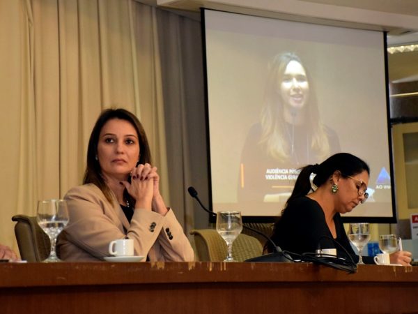 Deputada estadual Cristiane Dantas (PPL) foi a autora para a realização da audiência pública (Foto: Ney Douglas)