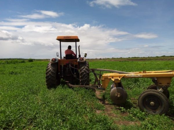 O corte de terra em tempo hábil é um dos fatores mais importantes para uma boa colheita. — Foto: Divulgação