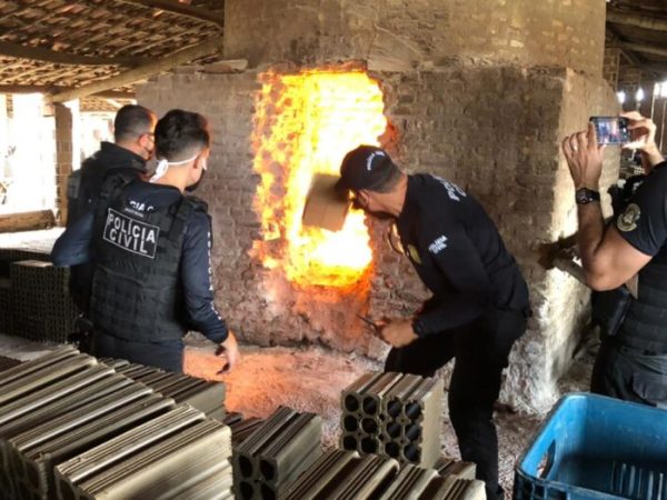 Polícia Civil incinera mais de meia tonelada de drogas em São Gonçalo do Amarante — Foto: Reprodução
