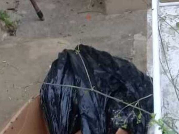 O membro foi encontrado por uma catadora de materiais recicláveis — Foto: Reprodução