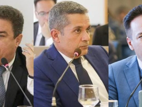 O julgamento havia iniciado com o voto do relator e Conselheiro Federal Síldilon Maia (RN). — Foto: Reprodução