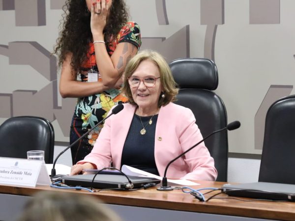 A senadora lembra que o “Médicos Pelo Brasil” deve considerar outras questões, além da contratação de médicos — Foto: Divulgação