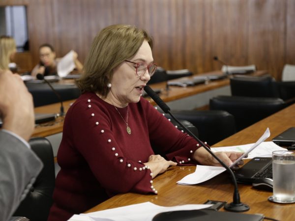 Senadora Zenaide Maia na Comissão de Direitos Humanos do Senado Federal — Foto: Divulgação